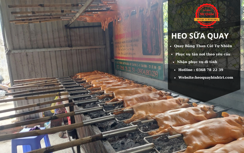 Món heo sữa quay quy nhơn quay bằng than cuổi tự nhiên an toàn cho sứa khỏe