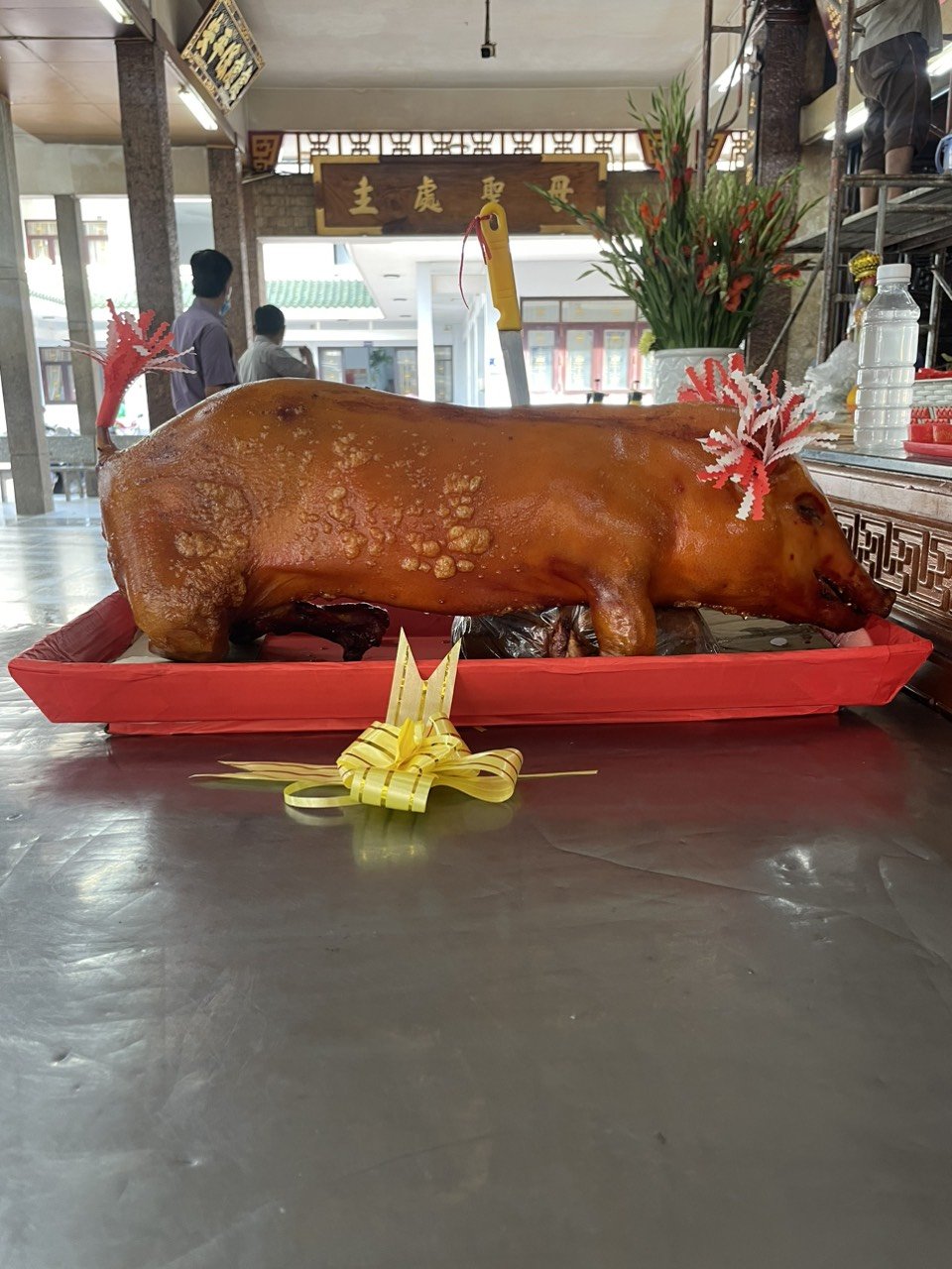 Lò heo quay ngon giá rẻ tại Tam Quan tỉnh Bình Định