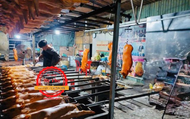 Heo Quay Nguyên Con Tây Sơn Bình Định