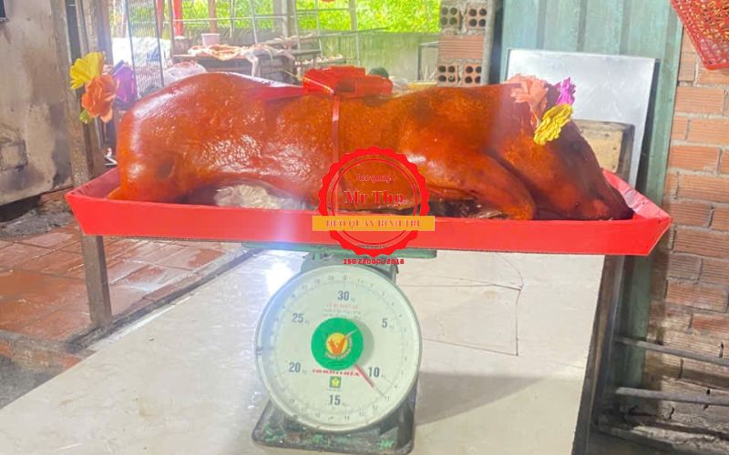 Heo Quay Phù Cát Giao Tận Nơi