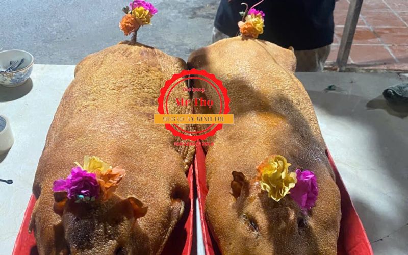 Heo Quay Ngon Phù Mỹ