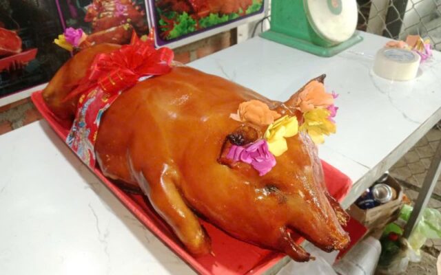 Heo Quay Cúng Bồng Sơn