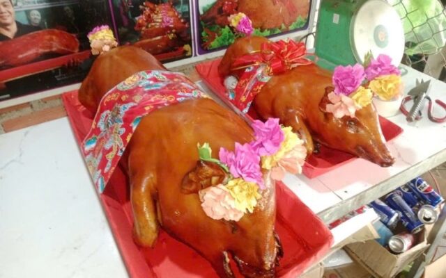 heo quay bình dương phù mỹ