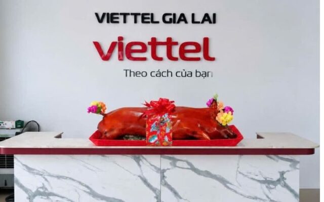 heo quay xã kim sơn hoài ân