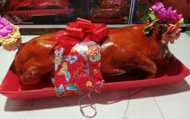 Heo quay xã Bình Phú Tây Sơn Gia Lai