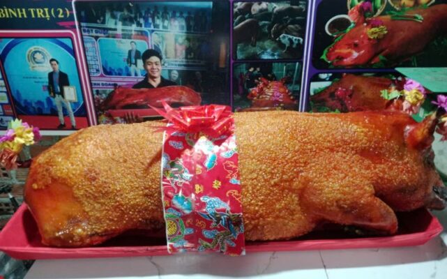 Heo quay xã Bình Phú Tây Sơn Gia Lai